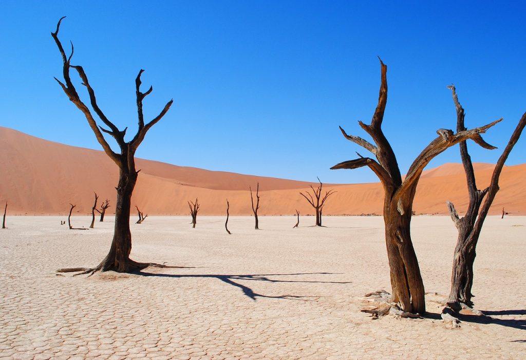 Wyprawy Namibia