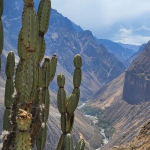 Peru
