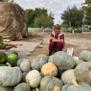 Turkmenistan wieś