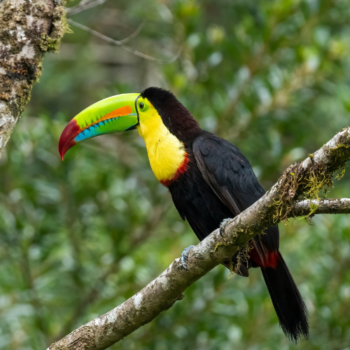 Wyprawy z Obywatelem Świata