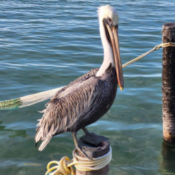 Wyprawa Belize