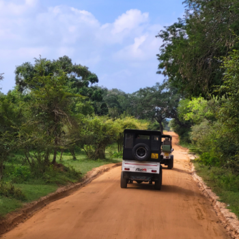Wyprawa Sri Lanka