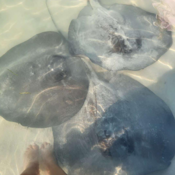 Wyprawa Belize