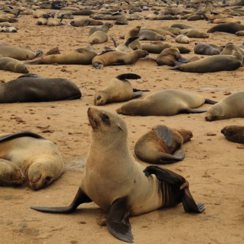 Wyprawa Namibia
