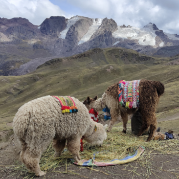 Wyprawa Peru
