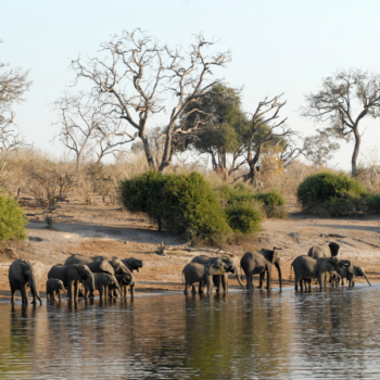 Wyprawa Botswana