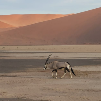 Wyprawa Namibia